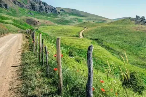 مکان های دیدنی رامسر